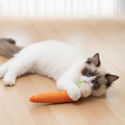 Carrot Cuddle Stick para gato, mordedor, placa anti-mordida, pet suprimentos, brinquedos sonoros, diversão, novo, 2024 - Image 6