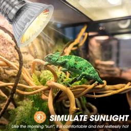 1/5 pçs 25/50/75w uva + uvb réptil lâmpada tartaruga basking uv lâmpadas luz de aquecimento crescimento animal de estimação luz de aquecimento para anfíbios - Image 3
