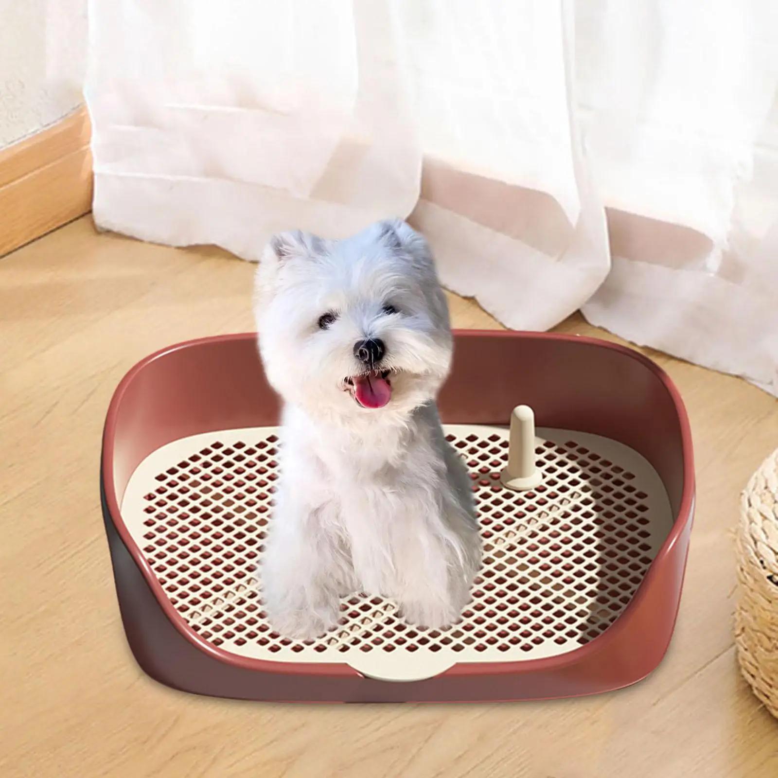 Pet Toilet Litter Box, Suporte de almofada de treinamento para gato e cachorro, Interior e exterior - Image 1