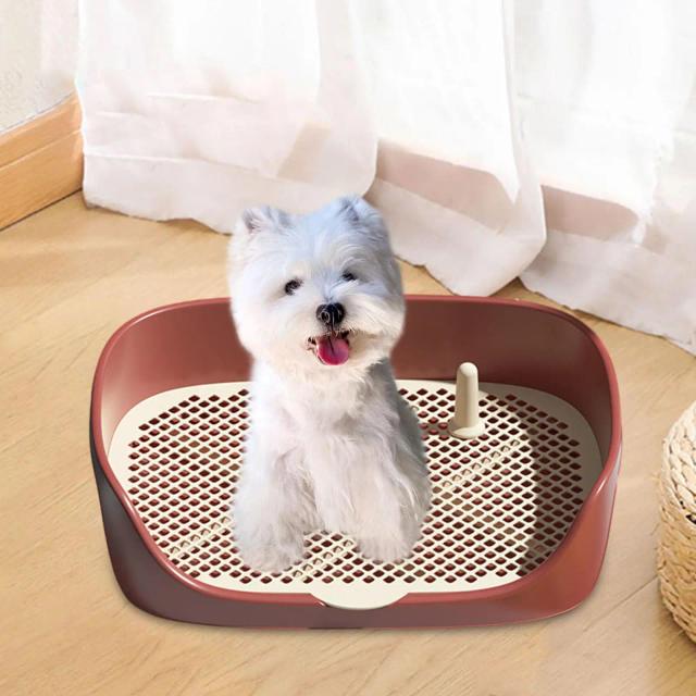 Caixa de Areia Pet com Suporte para Treinamento de Gatos e Cachorros para Uso Interno e Externo