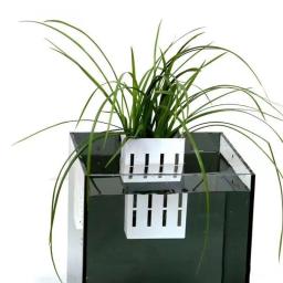 Parede montada planta aquática crescente cesta, suporte do tanque de peixes, aquário hidropônico Planta Copos, 1pc - Image 4