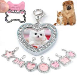Etiquetas de identificação personalizadas para cães e gatos, crachá gravado para animais de estimação, crachá para gatos e cães - Image 2