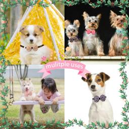 10 pçs gravata borboleta cão suprimentos para animais de estimação moda coleira arco pequeno cão bowtie cães animais de estimação produtos cão aliciamento acessórios para cães - Image 3