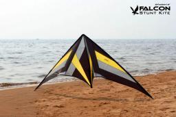 250cm profissional dublê kite falcon pipas voando ballet formação kite fábrica freilein pipa linha dupla para adultos pipa de energia - Image 3