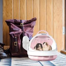 Maleta portátil de hamster, Transportadora de viagem com garrafa de água destacável, Bolsa panorâmica para viagem, Porco-da-Guiné - Image 3