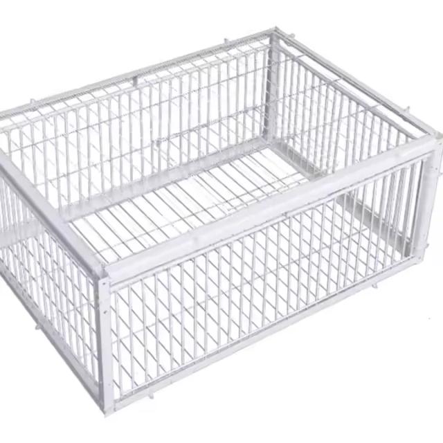 Gaiola Dobrável Galvanizada para Armadilha de Pássaros - 40x30x26 cm, Captura Humana de Pombos com Entrada Unidirecional