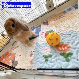 Tapete Universal para Pet, Coelhinho Suprimentos, Almofada De Treinamento, Gaiola Mat, Cobertor De Dormir, Coelho, Gato, Cão, Coelho, Quatro Estações - Image 1