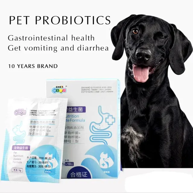 Probióticos para Cães e Gatos: Soluções Eficazes para Constipação, Diarreia e Vômito