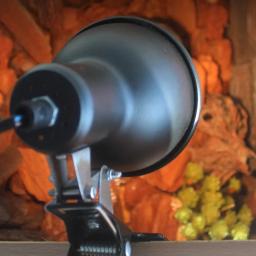 Nomoy-Ajustável Suporte de Luz de Aquecimento com Braçadeira para Lagartos Terrarium, UVA, UVB Lâmpada, Réptil, Tartaruga, Tartarugas - Image 3
