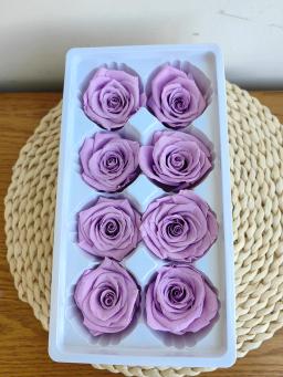 Natural Preservado Cabeça Flor Rosa Real, Urso De Pelúcia, Handmade, DIY, Arranjo De Flores Eternas, Presente Fresco, 4-5cm, 8Pcs por Caixa - Image 5