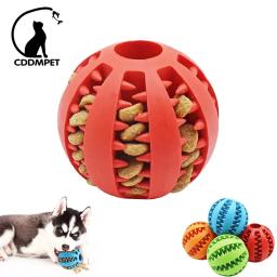 Dog Ball Toys para cães pequenos Interactive Elasticity Puppy Chew Toy Tooth Cleaning Borracha Food Ball Toy Pet Stuff Acessórios - Image 1