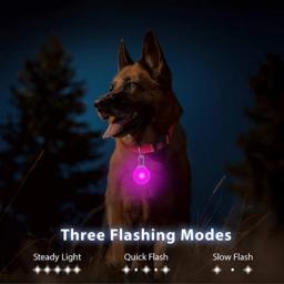 Carregamento usb colar de cão brilhante com pingente destacável luxo led luz brilhante para cães pequenos gato noite segurança colar atacado - Image 3