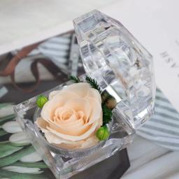 Imortal Preservado Rose Flower Decorações, Real Crystal Box, Casamento, Valentim, Aniversário, Aniversário, Presentes Criativos - Image 4
