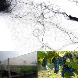 Anti Bird Catcher Netting Pond Net Rede De Pesca Armadilhas Fruit Tree Vegetals Flower Garden Mesh Proteger Controle de Pragas - Image 2