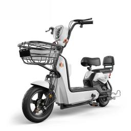 As bicicletas eletrônicas assistem aos adultos em deslocamento e fornecem veículos elétricos resistentes a terremotos para áreas montanhosas e nevadas - Image 5