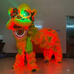 Parque de diversões de leão com led, adereços de dança de leão, festival tradicional chinês, luz led dupla, dança do leão, traje sul - Image 6