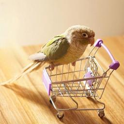 Mini carrinho de compras para pássaros, cor aleatória, papagaio, liga engraçada, gaiola de treinamento de pássaros, acessórios, 1 pc - Image 2