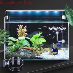 Círculo De Alimentação De Vidro Transparente Para Aquário, Alimentador De Tanques De Peixes, Alimentador De Fundo Flutuante - Image 4