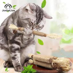 Polygonum Catnip Stick para gatos, Cat Snacks, Molar Stick, Clear Toy, Respiração, Natural, Mastigar Brinquedos, Versátil, Claro, Placa, Gato - Image 1