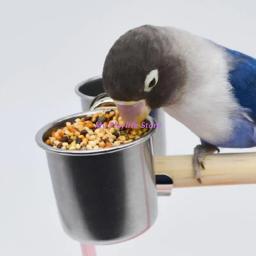 Pássaro alimentador copos comida água alimentação pássaro copos dobro com clipe de aço inoxidável papagaio gaiola suporte suprimentos pássaro - Image 5