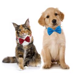 Bowtie ajustável Pet Grooming Acessórios, Dog Bows, Cat, Rabbit, Mix Colors, Produtos por atacado, 50 Pcs, 100Pcs - Image 3
