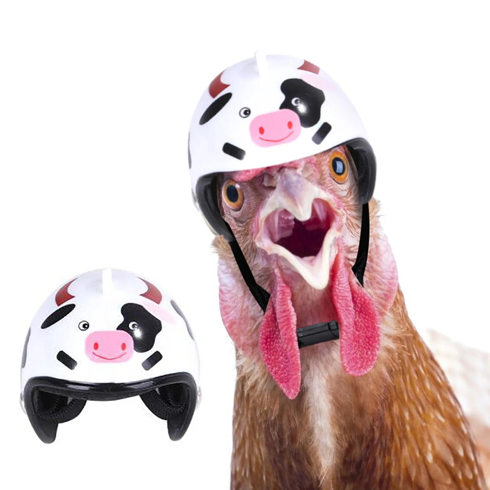 Suprimentos para animais de estimação comida para cães reboques e para cães capacete roupas pássaro acessórios para cães loja acessórios para cães escola - Image 1