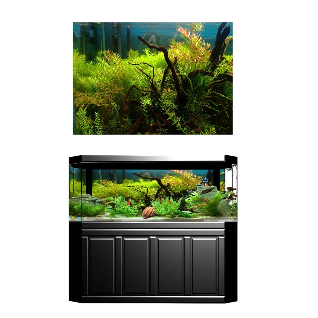 3D Aquário Fantasia Fundo Cartaz, Peixes De Contexto Adesivo, Decoração - Image 1