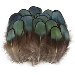 Atacado natural frango pavão ganso faisão pena pequenas penas para artesanato acessórios diy jóias decoração - Image 6
