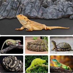 Forro de terrário para répteis, cortável, não adesivo, à prova d'água, substrato, acessórios para tanque, para dragão barbudo, lagarto, tartaruga, gecko - Image 6