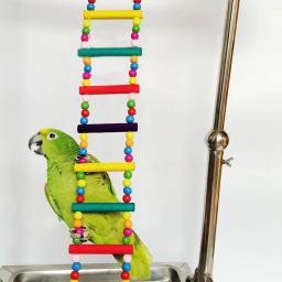 Gaiola Pendurada Colorida para Pássaro Papagaios De Madeira Natural, Ponte De Suspensão, Brinquedos De Balanço, Escadas De Escalada, Suprimentos De Brinquedo De Pássaro - Image 2