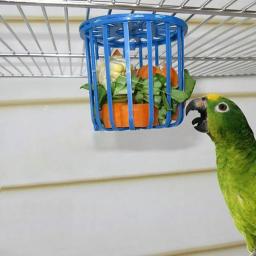 Gaiola Alimentadora de Pássaros e Papagaio, Suporte de Frutas e Vegetais, Cesta Pendurada, Brinquedos, Pet Shop, Budgie Cage, Acessórios, 1Pc - Image 1