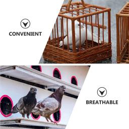 Pet Litter Pigeon House Pad, Vasos, Ninho de Ovo, aves de reprodução, Natural Mat Supply, Coco Palm Silk, Papagaios, 10 pcs - Image 2