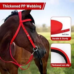 Equipamento de equitação durável cabeça de cavalo colar halter equitação brida pvc corrida de cavalos equipamento equestre cavilhas - Image 6