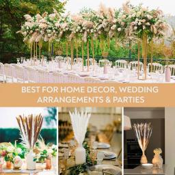 30 pçs flores secas natureza fofo pampas grama para festa de casamento decoração coelho cauda de coelho canas flores artificiais decoração de casa - Image 4