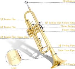 Trompete de latão SLADE-Bb Standard com caixa, instrumento trompete profissional para estudantes e iniciantes, ouro e prata - Image 2