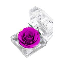 Imortal Preservado Rose Flower Decorações, Real Crystal Box, Casamento, Valentim, Aniversário, Aniversário, Presentes Criativos - Image 5
