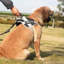 Arnês de Nylon Reflexivo para Cachorro Grande, alça no peito para buldogue francês e labrador, suprimentos para treinamento e caminhada ao ar livre, coleira para pet - Image 2