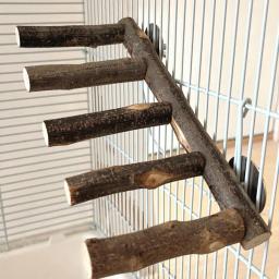 Escada De Pássaro De Madeira Em Pé, Escalada, Brinquedos De Mastigação, Suporte De Perca, Acessórios De Gaiola, Papagaios Pequenos e Médios - Image 1