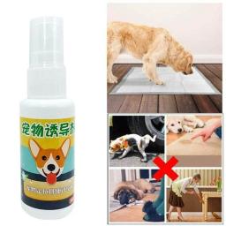 Pet Potty Spray Treinamento, Dog Posicionamento defecação, Urinar Aids, Urinar Aids, Pet Toilet Suprimentos, 30ml Indutor - Image 5