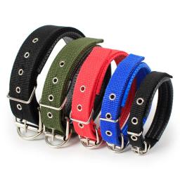 Coleiras de Nylon ajustáveis para Pet, alça de pescoço para cães pequenos, médios, grandes, gola de gato, coleira acolchoada de espuma, acessórios para cães - Image 3