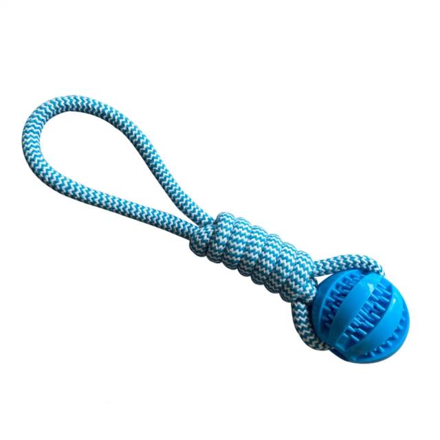Brinquedo Interativo de Borracha para Cães Pequenos e Médios - Resistente a Mordidas e Ideal para Limpeza Dental