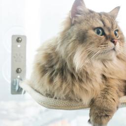 Rede dobrável para janela de gato, pano respirável, cama de gato, casa com 4 ventosas fortes, acessórios para animais de estimação - Image 2