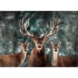 MaxRenard-Quebra-cabeça para adultos, animais, nobres, cervos, ambientalmente amigáveis, papel, presente de Natal, brinquedo, 1000 peças - Image 3