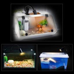 Lâmpada de réptil com luz UV, Aquecimento basking, Tartaruga, Anfíbios, Lagarto, Tartaruga, Pet, Casa, Cuidar, Ornamentos, 25 W, 50W - Image 2
