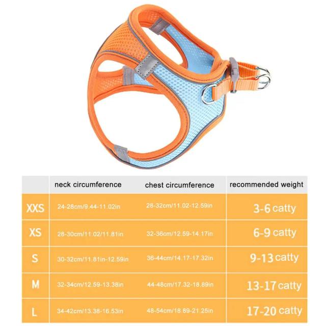 Colete e Guia Acolchoados para Treinamento e Passeios de Cães Grandes - Respirável e Confortável para Todas as Raças