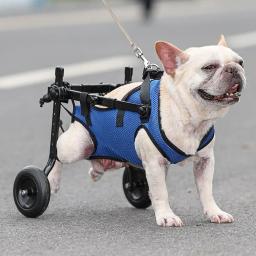 Ajustável Pet Walk Booster com Hind Legs Bracket, auxílio de reabilitação para cão e gato, ferido e fraco carro - Image 1