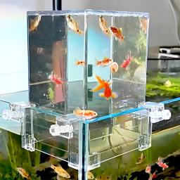 Torre De Peixes De Aquário Invertida, Decorações De Tanque De Peixes, Faça Seu Peixe Voar Acima Da Água - Image 1