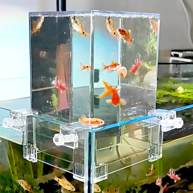 Torre Invertida para Aquários: Decoração que Faz Seu Peixe Flutuar Acima da Água