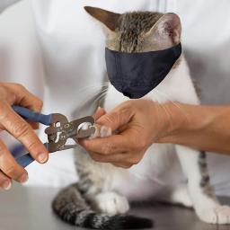 Máscara facial anti-mordida para gatos, focinhos respiráveis, capa protetora de nylon, banho grooming, anti-risco, ajudantes de groomer, suprimentos para animais - Image 5