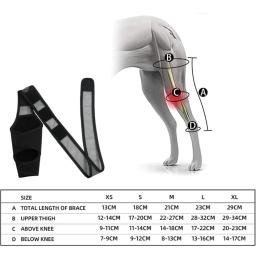 Pet Dog Joelho Dor Joelho Brace, suporte de quadril, suporte para pernas traseiras para cães idosos, deficientes e feridos - Image 2